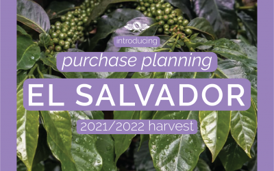 El Salvador Purchase Planning