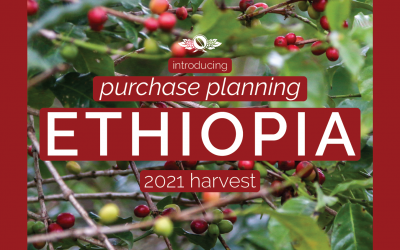 Ethiopia Purchase Planning